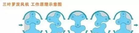 羅茨風(fēng)機(jī)的工作原理